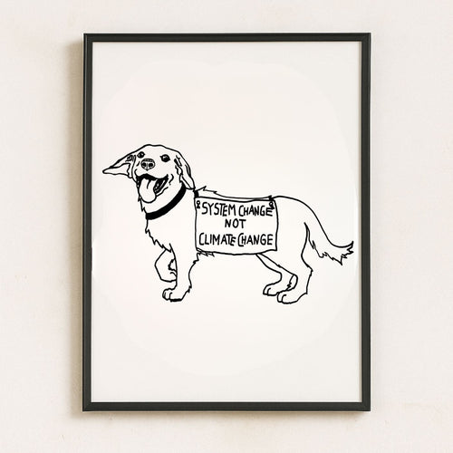 Poster System change not climate change